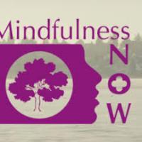 Mindful Action Now image 1